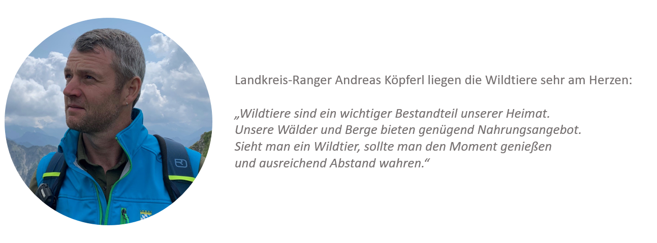 Wildtierkampagne_Botschafter_Köpferl