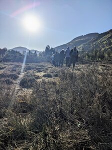 Bild vergr&ouml;&szlig;ern: Wanderung_Auracher_Moor_KFO2026_Veronika_Halmbacher